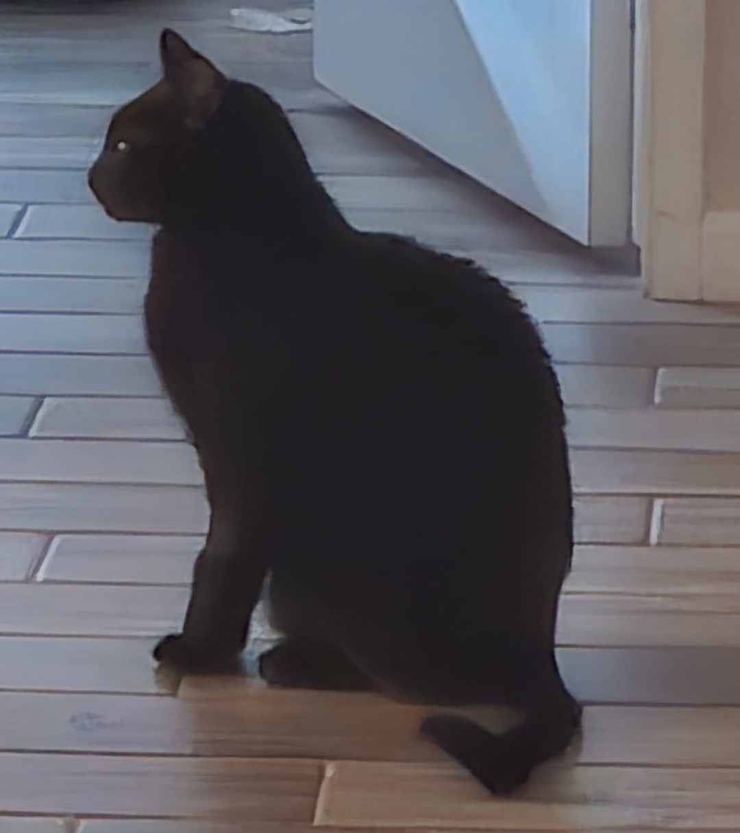 Mr T Silhouette