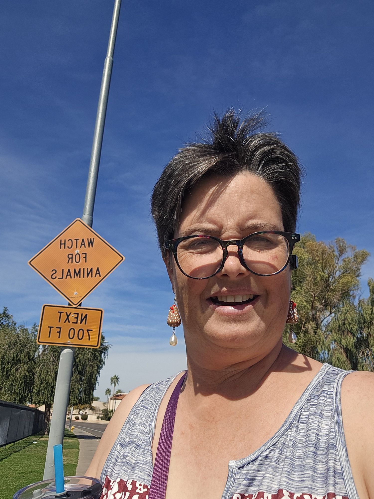 Walk 3 of 5 — Week of Feb 22 – North Phoenix Geese Walk with Errands ☀️🎶🪿