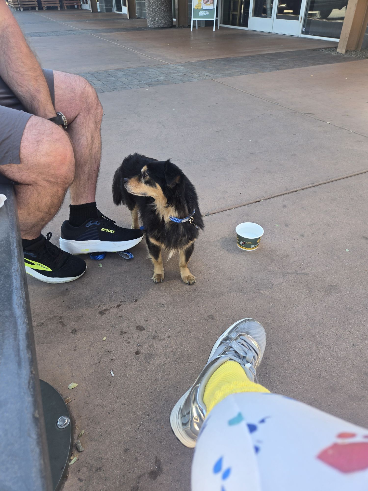 Walk 5 of 5 | Week of March 8 – North Phoenix coffee walk, a dog rescuer, and some George Carlin philosophy