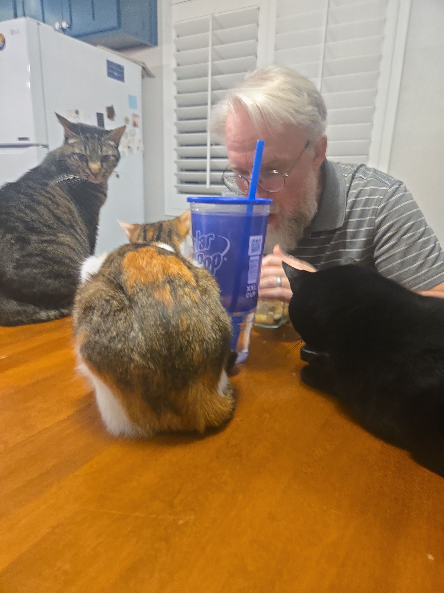 Normal night at our house.