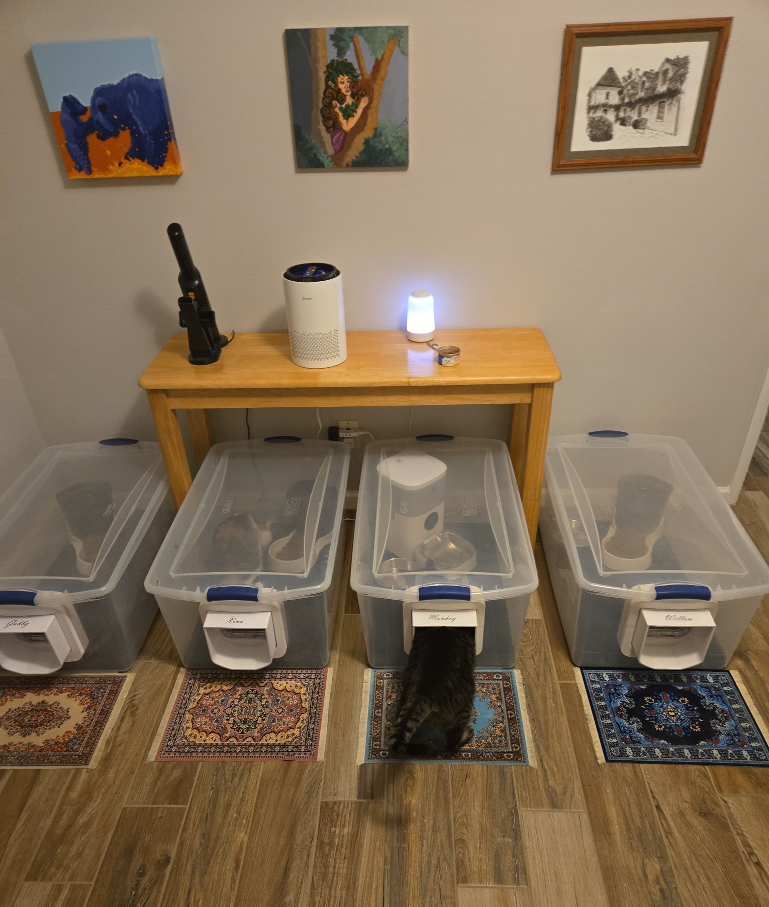 🐾 Our Cat Room Setup: Calm Cats, Clear Data, Easier Care