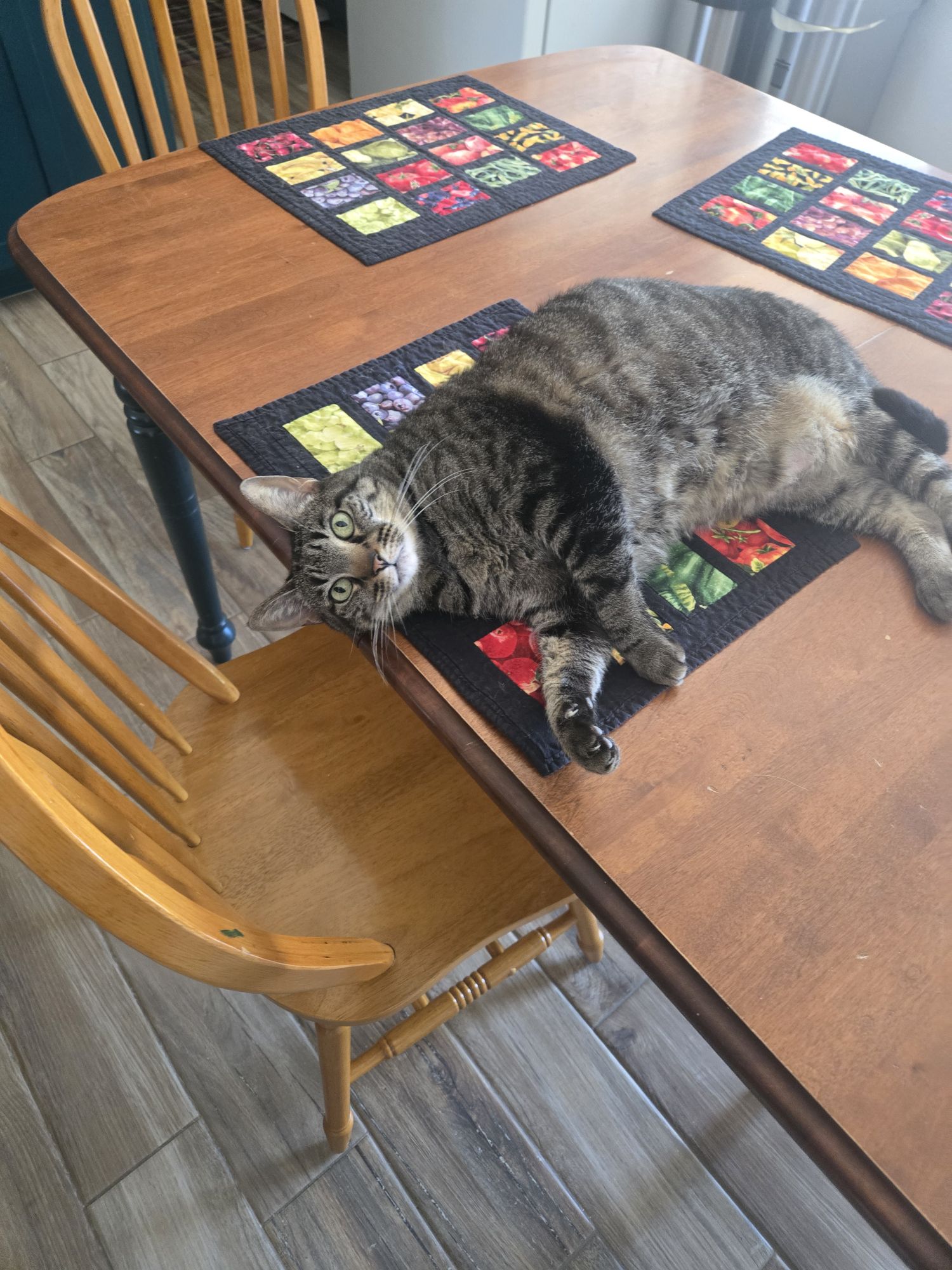 Whisker Wednesday #2B – Churu Cake & Shenanigans