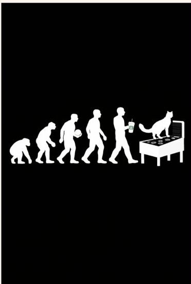 WWS Evolution