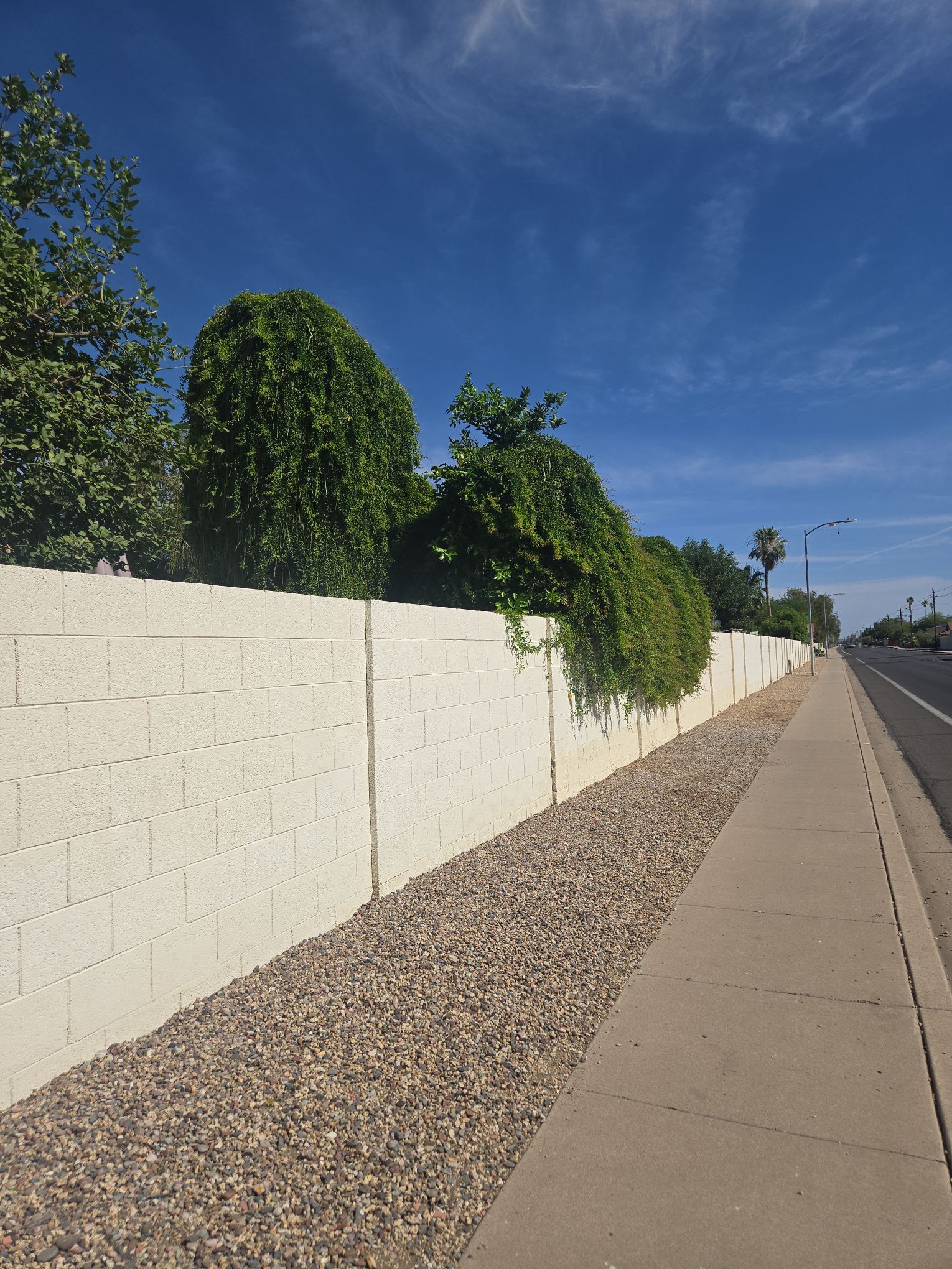 Walk 1 of 5 — Week of May 17 — Longest Walk Yet